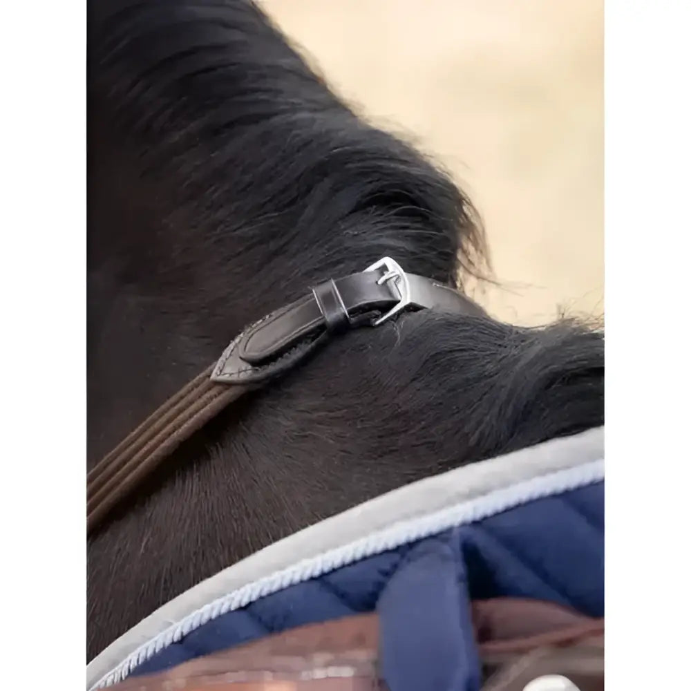 Black leather lemieux webbed continential reins brown with silver buckle for horse riding gear