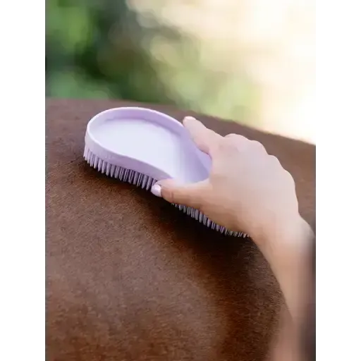 Lemieux Wizard Brush Trio Cranberry/Lilac/Rosemary Cranberry/Lilac/Rosemary One Size Curry Combs