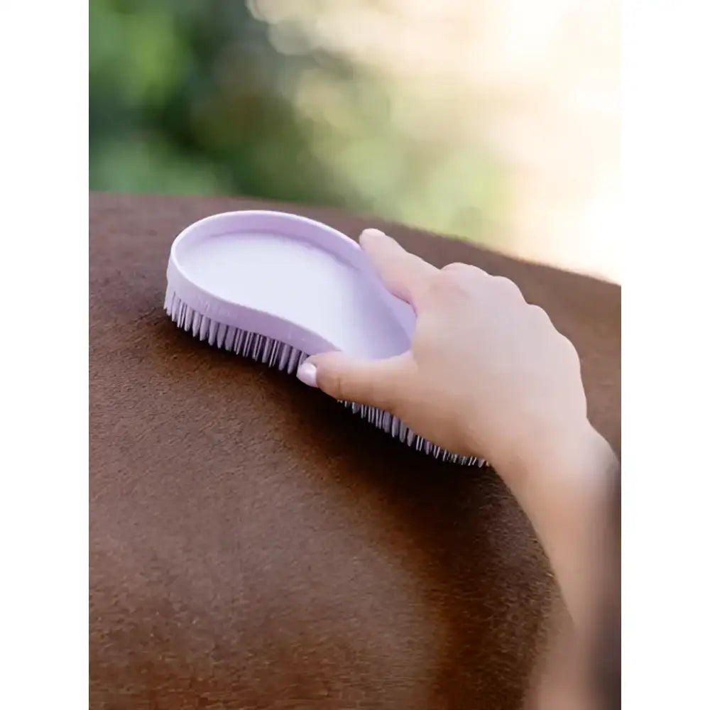 Lavender lemieux wizard brush with soft bristles for gentle grooming from the wizard brush trio cranberry lilac rosemary