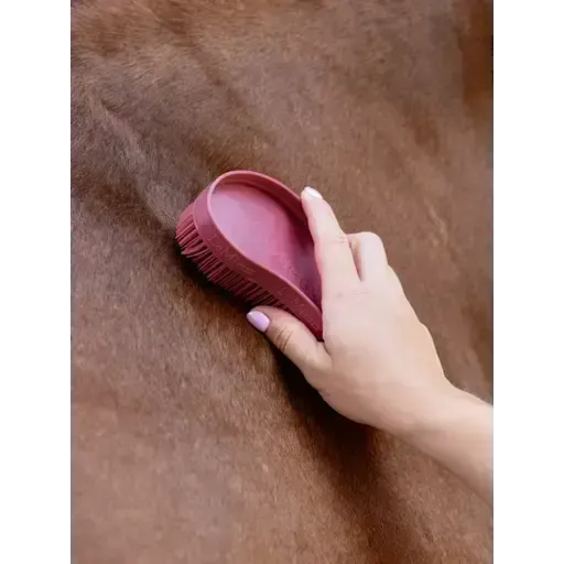 Lemieux Wizard Brush Trio Cranberry/Lilac/Rosemary Cranberry/Lilac/Rosemary One Size Curry Combs