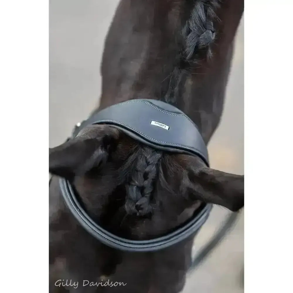 LeMieux Work Bridle Black Cob Bridles
