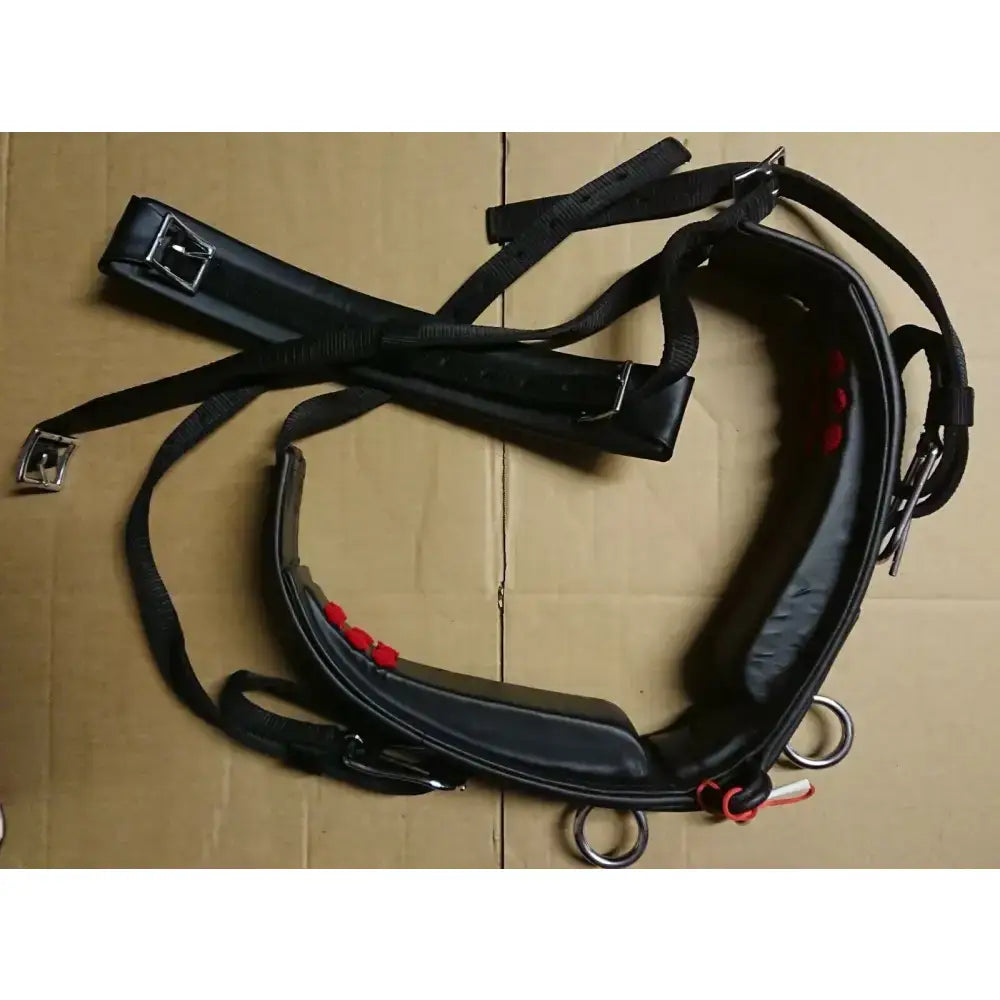 Black leather libby’s driving saddle harness with red accent dots metal hardware webbing tugs and belly band details