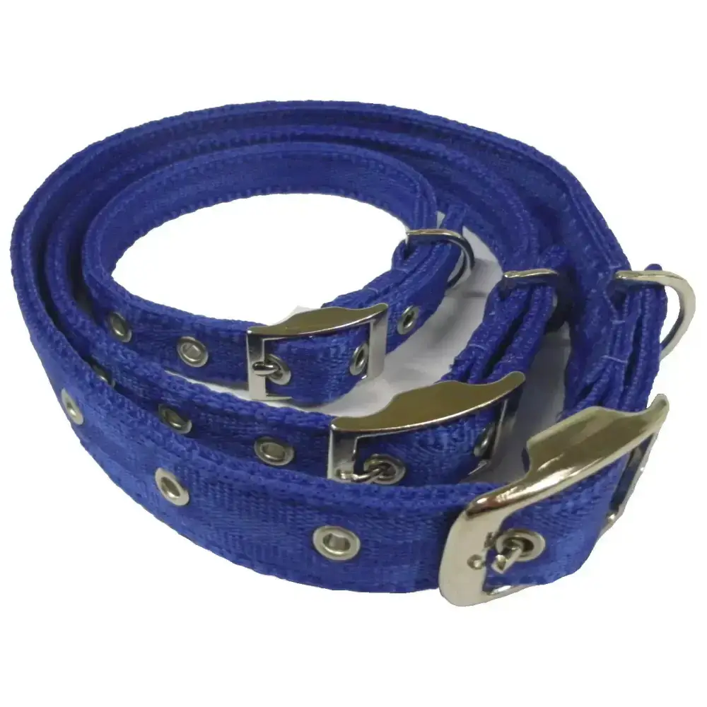Libbys Webbing Metal Buckle Dog Collar Blue Small