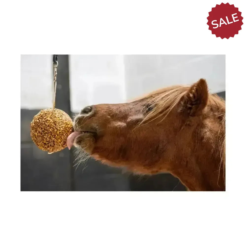 Likit Granola Stall Ball Apple Horse Treats