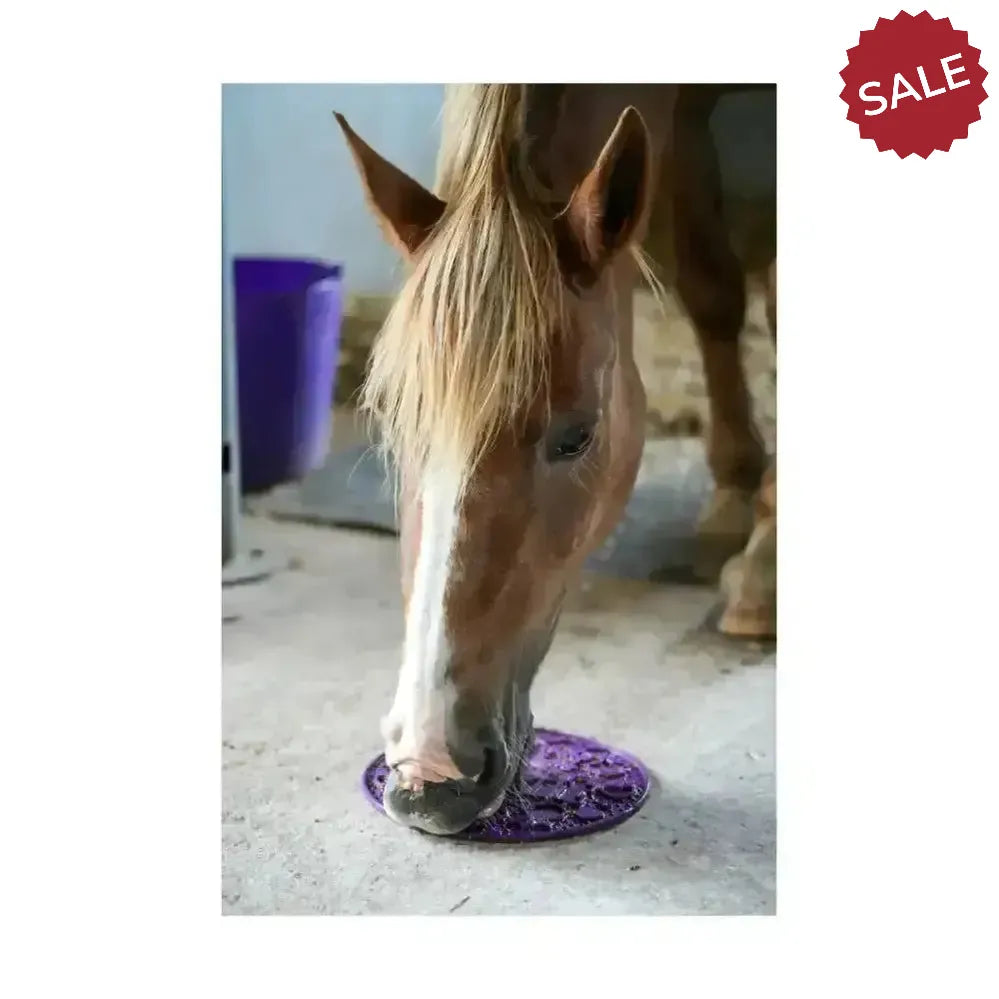 Likit Graze Maze Blue Horse Toys