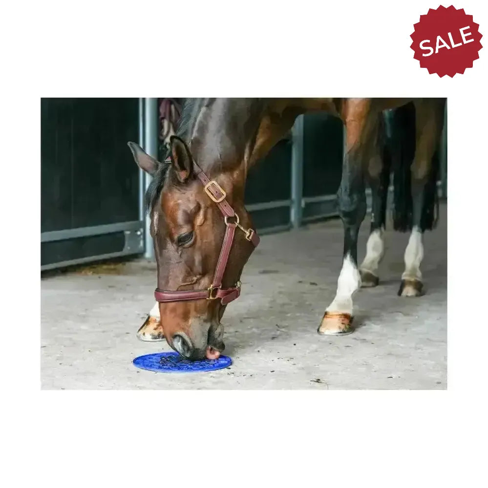 Likit Graze Maze Blue Horse Toys