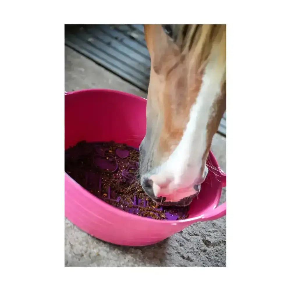 Pink plastic horse feed bowl with purple mesh insert for likit graze paste tasty licking paste use
