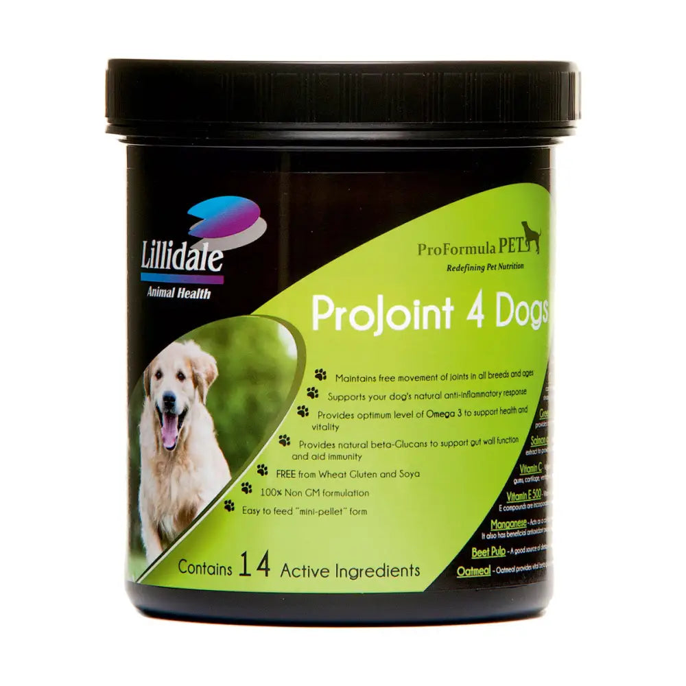 Lillidale projoint dog supplements container with black lid and green label featuring golden retriever maintains free movement