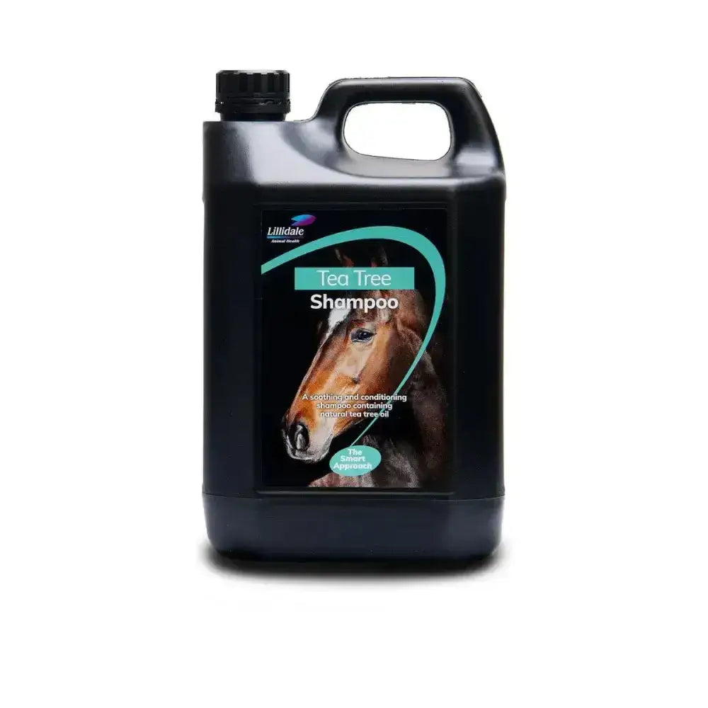 Black plastic jug of lillidale tea tree conditioning anti-bacterial shampoo with a horse head on the label