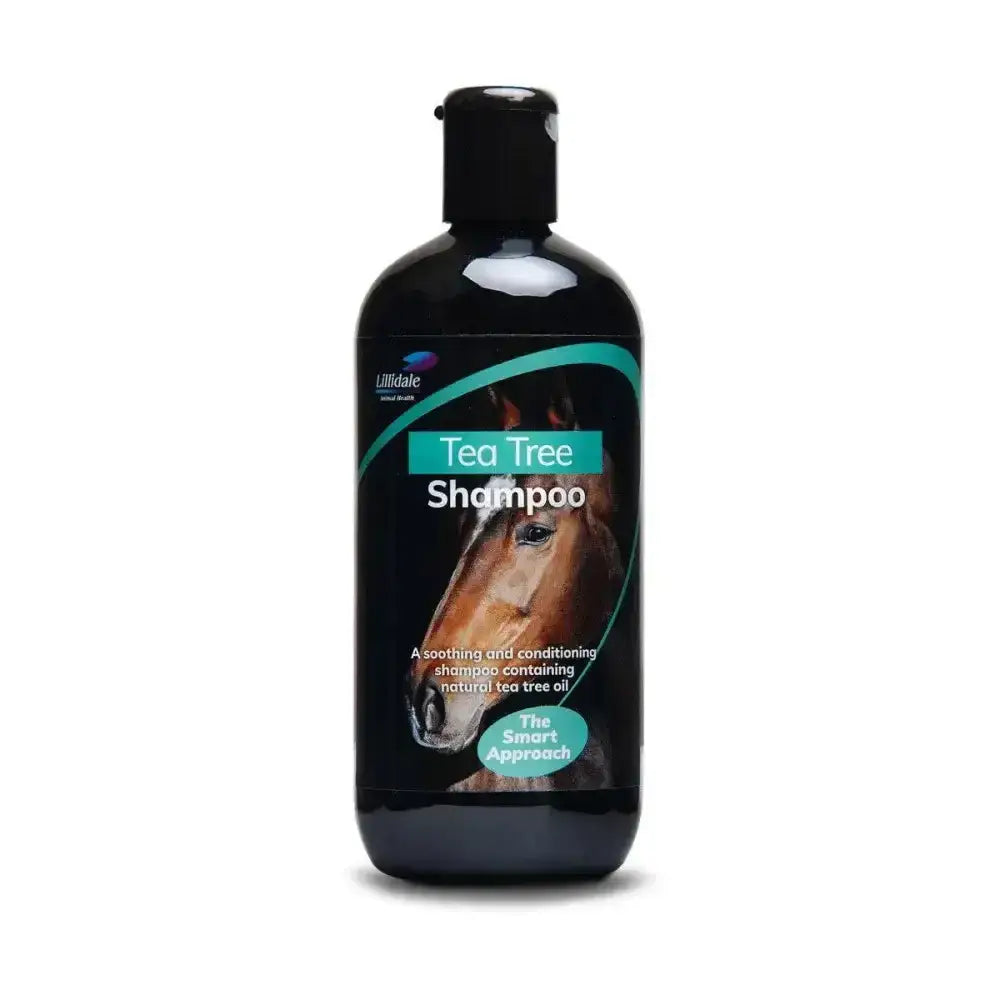 Black plastic bottle of lillidale tea tree conditioning anti-bacterial shampoo with teal label and horse head logo