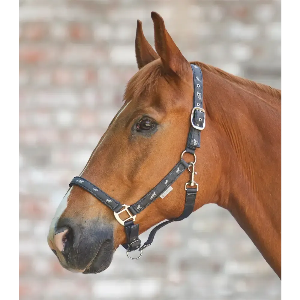 Little Horse Halter Black Pony Headcollars