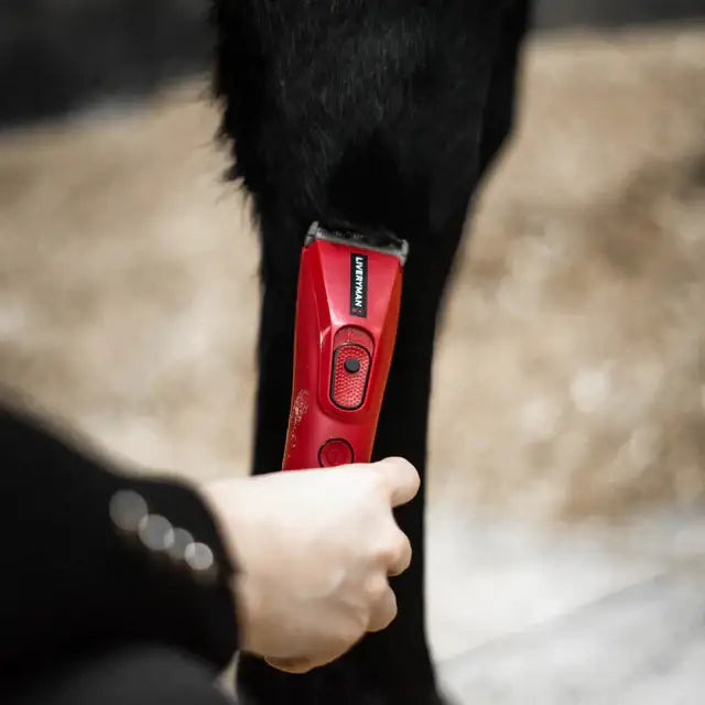 Red liveryman nova trimmer clipping black fur on livestock with electric horse clipper for precise grooming