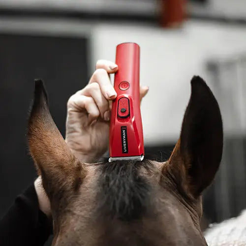 Liveryman Nova Horse Trimmers Clippers & Trimmers