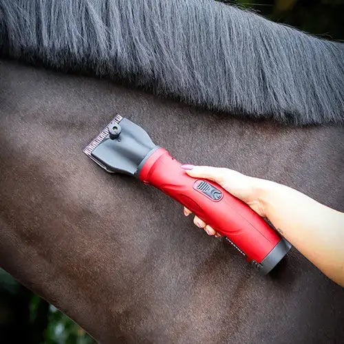 Liveryman Phoenix Horse Clippers Horse Clippers