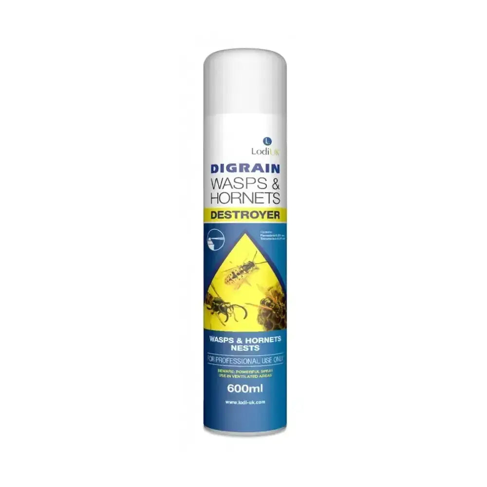 Lodi digrain wasps hornets destroyer aerosol spray can 600ml with white cap fast acting insecticide for wasp control