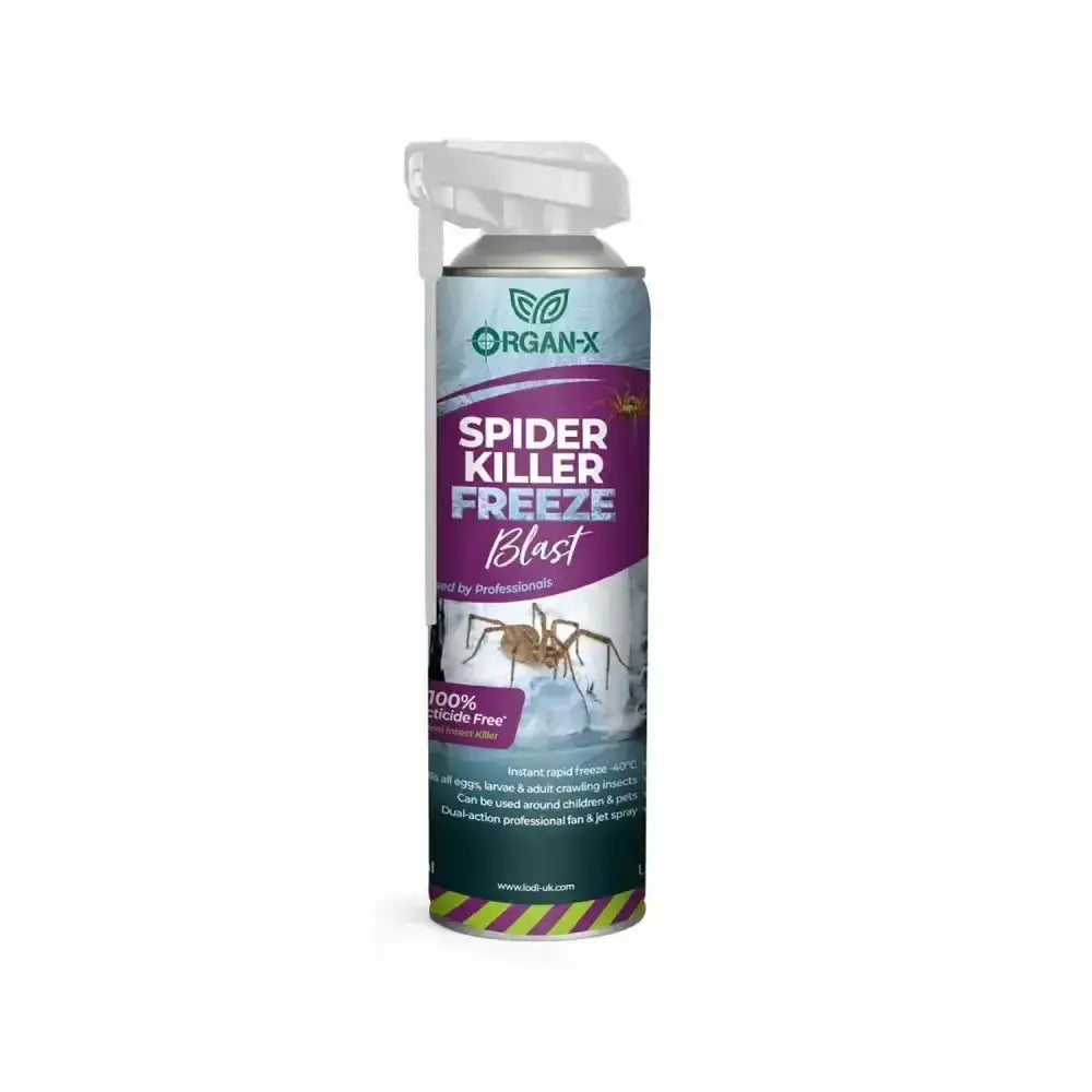Lodi organ-x spider freeze blast spray can with metallic silver body purple green labels white trigger neutralises spiders