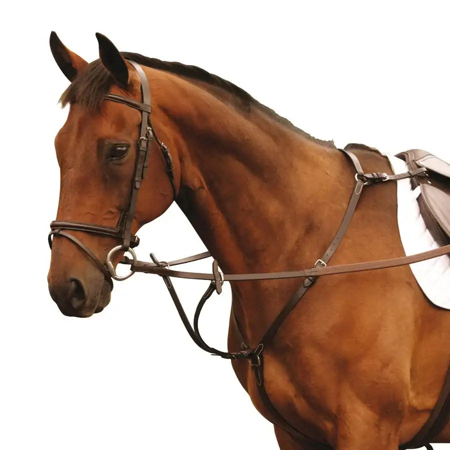 Brown horse wearing a mackey classic hunting breastplate in dark brown leather with martingale attachment