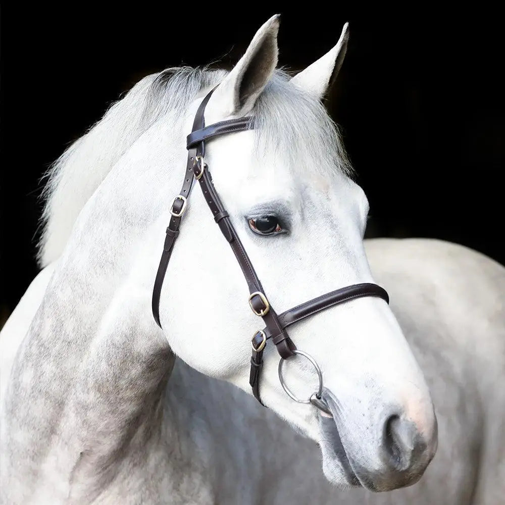 Black leather mackey classic plain inhand bridle with silver metal hardware perfect for show or training use