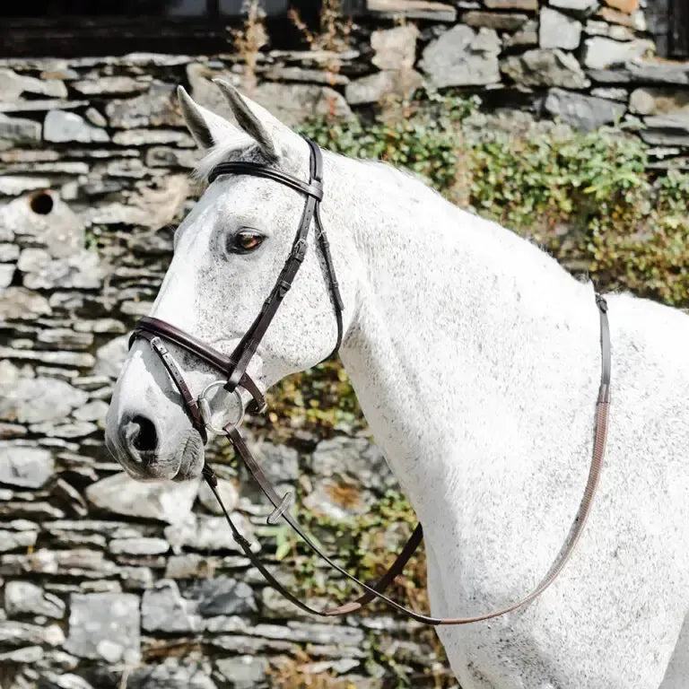 Mackey Classic Padded Flash Bridle Black Pony Flash Bridles
