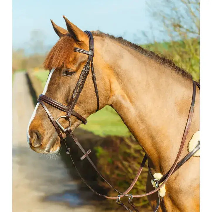 Mackey classic padded flash bridle in brown highest quality leather with silver stainless steel fittings