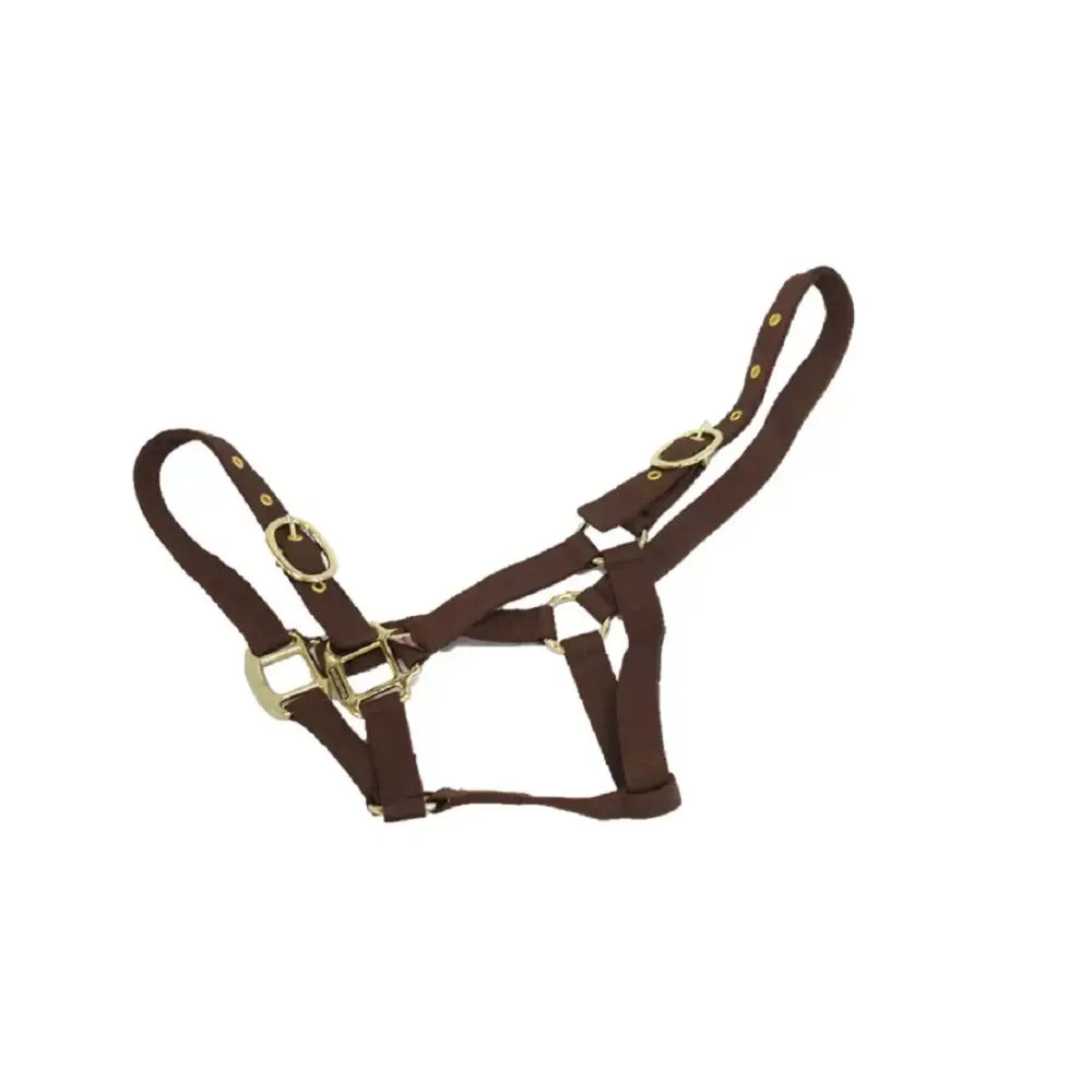 Brown leather horse halter with brass buckles featured on mackey equisential nylon headcollar product image