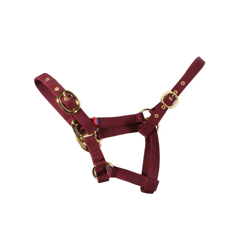 Maroon woven nylon mackey equisential nylon headcollar with gold-toned metal hardware for horses