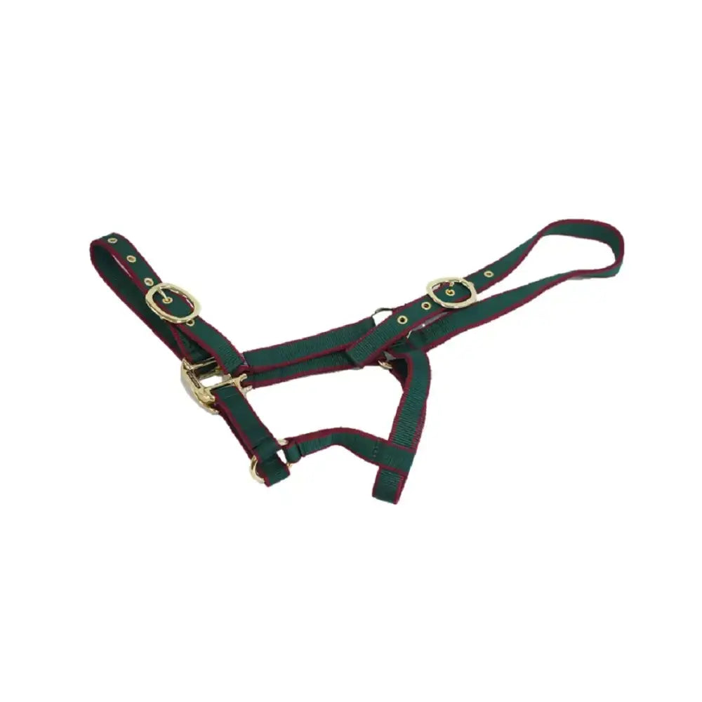 Green and burgundy mackey equisential nylon headcollar with gold-toned metal hardware for horses