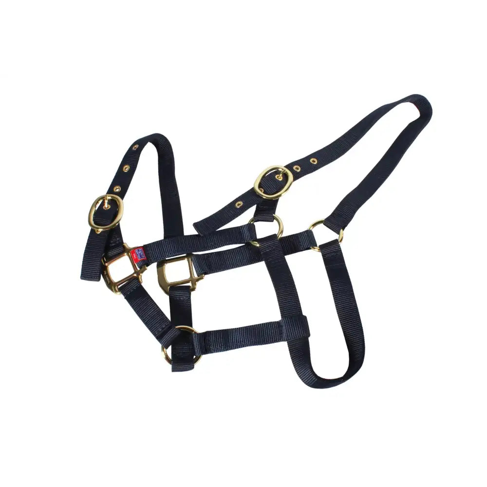 Black nylon mackey equisential nylon headcollar with brass-colored hardware and buckle for horses