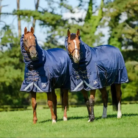 Mackey Wicklow Turnout Heavy 350g Combo Turnout Rugs Navy/Gold 5'6" Turnout Rugs