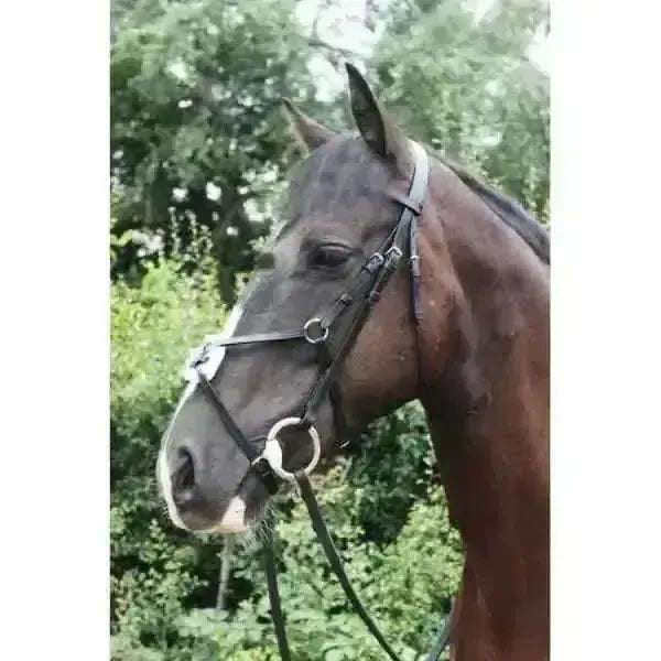 Mexican Grackle Bridle with Rubber Reins By Sheldon Black Pony Bridles