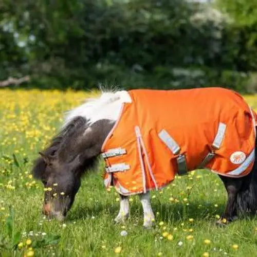 Swish MINI 50g Turnout Rug - Orange 3'3 Turnout Rugs