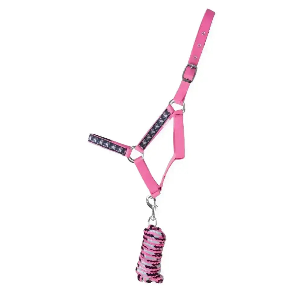 Pink head collar from my pony collection with black and white straps and a matching pink and black striped lead rope