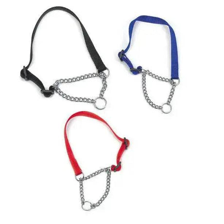 Nylon Check Dog Collars 10mm Red unallocated Dog Barnstaple Equestrian Supplies