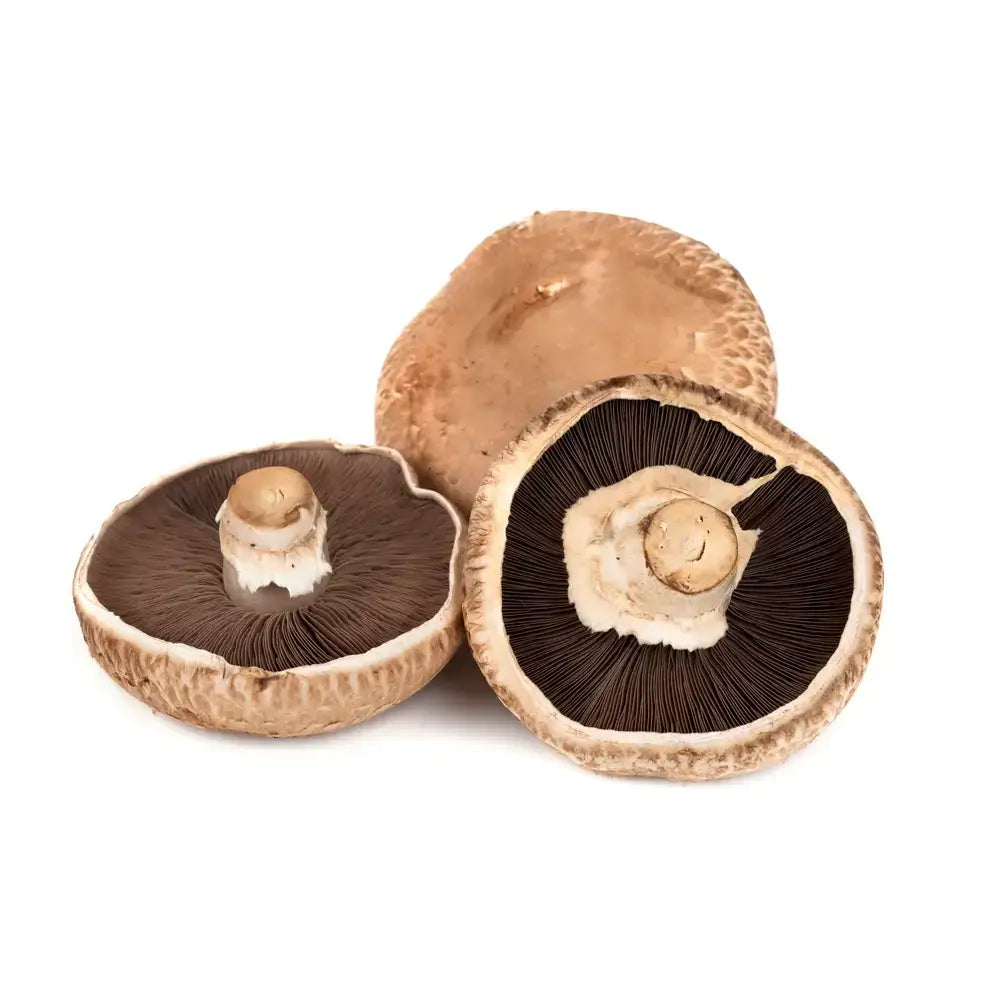 Fresh organic porttobello mushrooms with earthy brown caps and dark gills visible in cross section