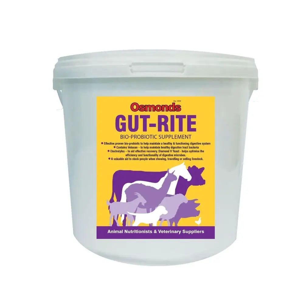 A translucent white plastic bucket of osmonds gut-rite bio-probiotic helps stockmans companion with yellow purple label
