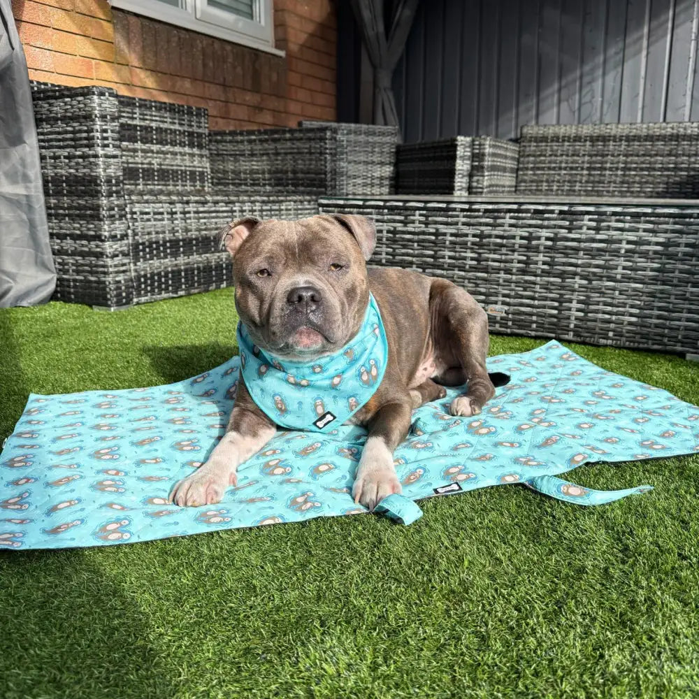 Turquoise otterly lovely collection dog settle mat with cute animal pattern perfect travel mat for dog comfortable use