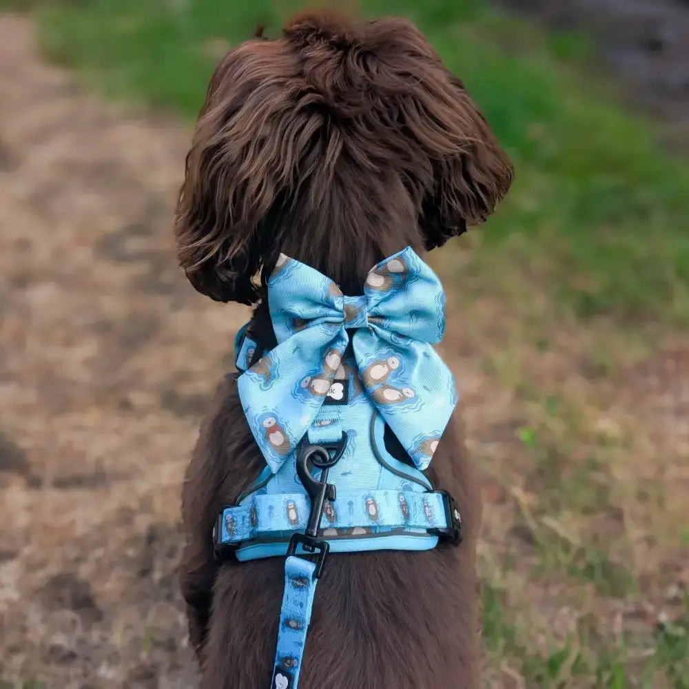 Otterly Lovely Sailor bow 🦦💙 Pet Products