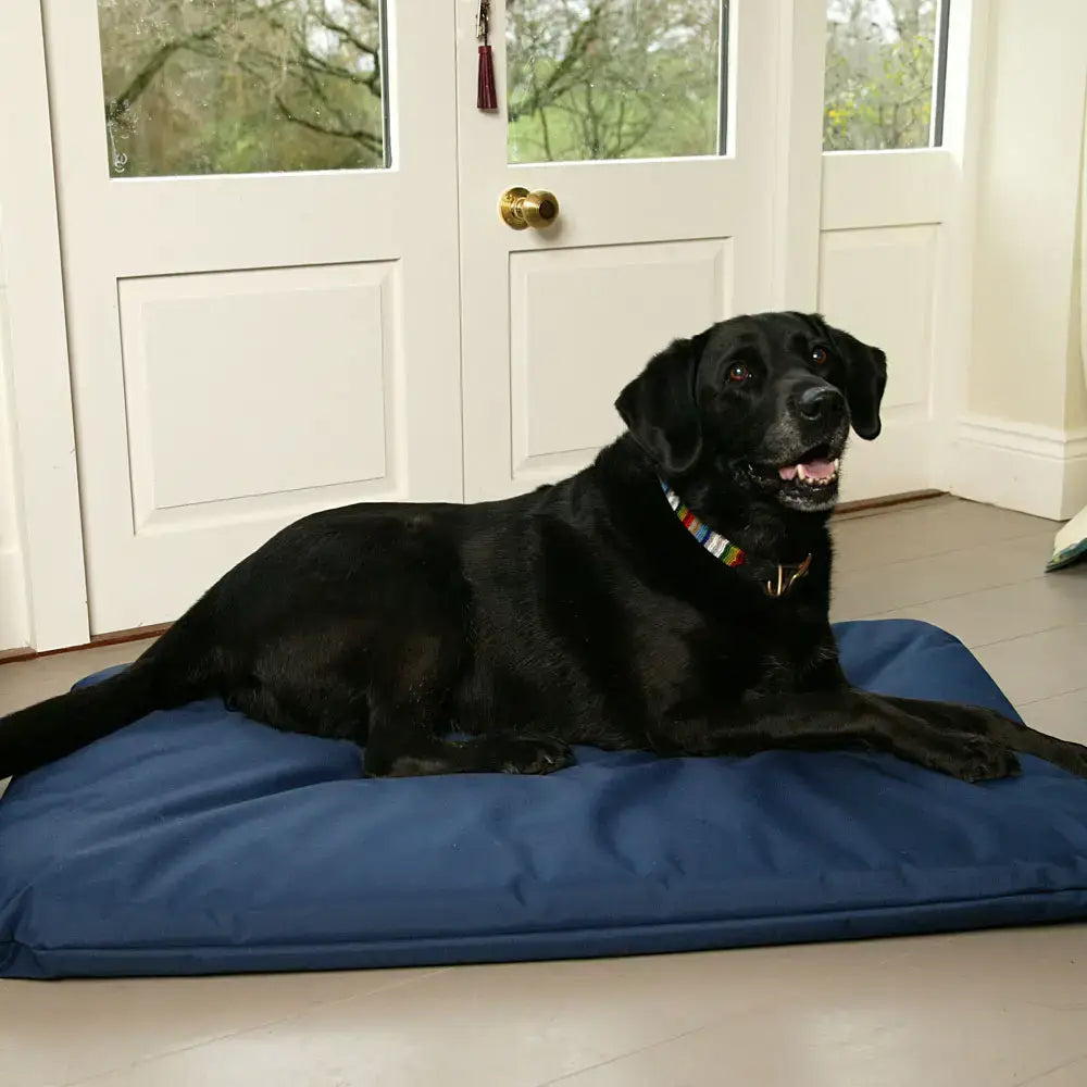 Blue padded dog heavy duty waterproof duvet bed by p&l country perfect for rugged outdoor use