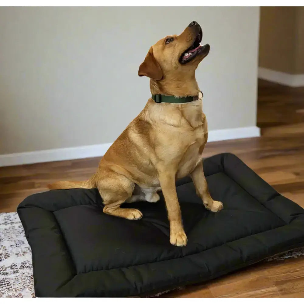 Black quilted country dog heavy duty waterproof rectangular cushion pad dog bed with plush cushioned surface and reinforced edges