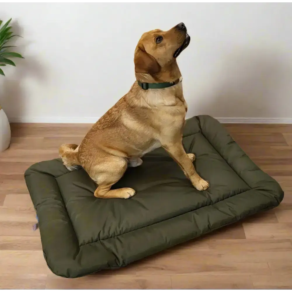 P&L Country Dog Heavy Duty Waterproof Rectangular Cushion Pad Dog Beds. Medium L76cm X W52cm X D5cm Black Dog Beds