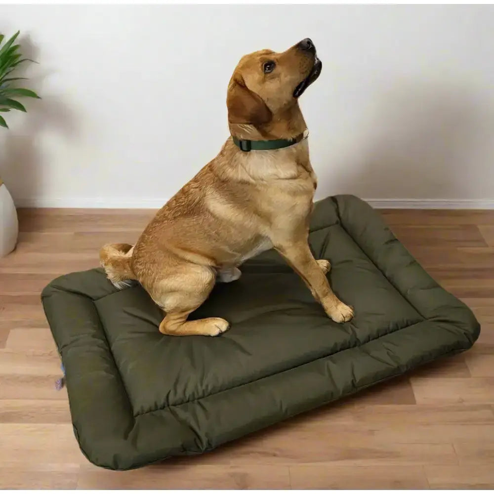 Olive green quilted country dog heavy duty waterproof rectangular cushion bed for dogs