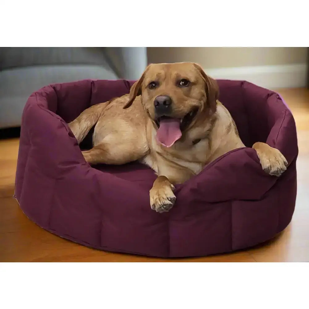 Plush purple circular dog bed from p&l country dog tough heavy duty oval waterproof dog beds for pets