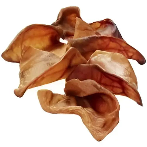 Paddock farm medium pig ears singles showing dried translucent brown ear-shaped treats with a glossy surface