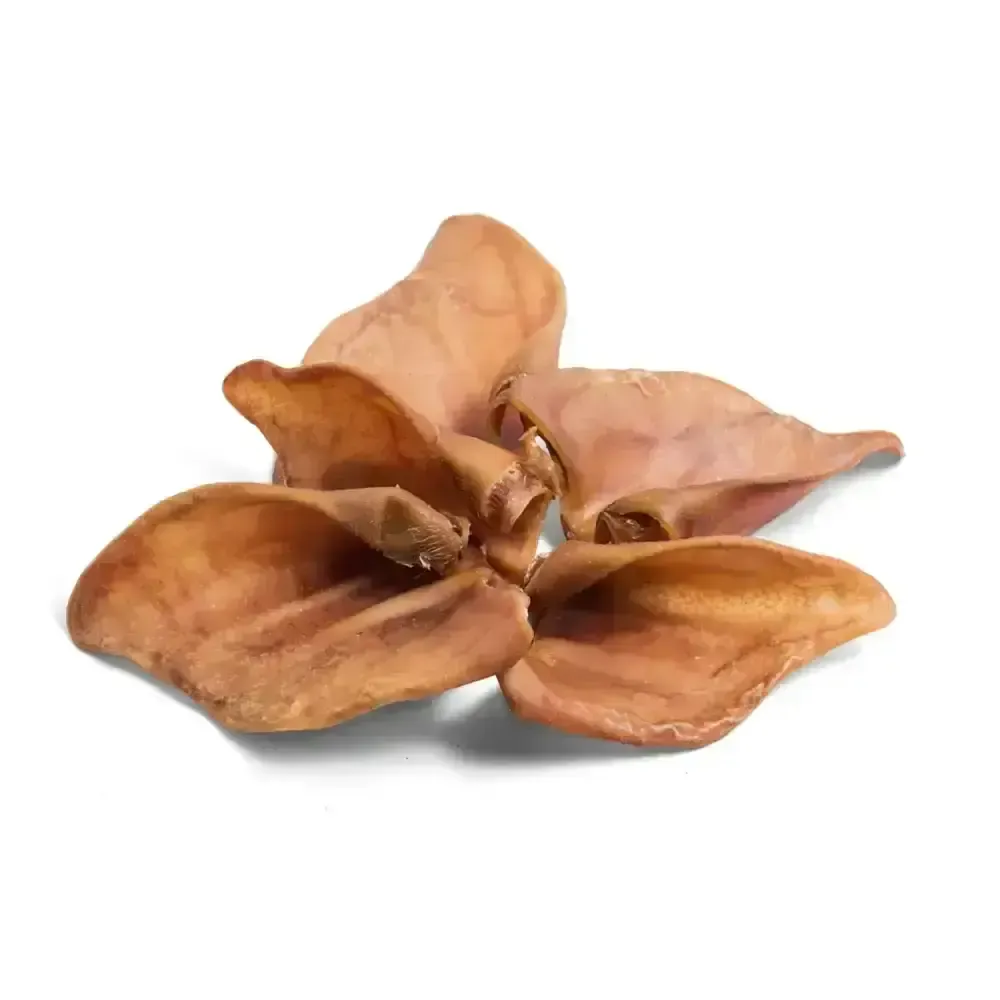 Paddock Farm Pig Ears Medium X 5 Ears Dog Treats