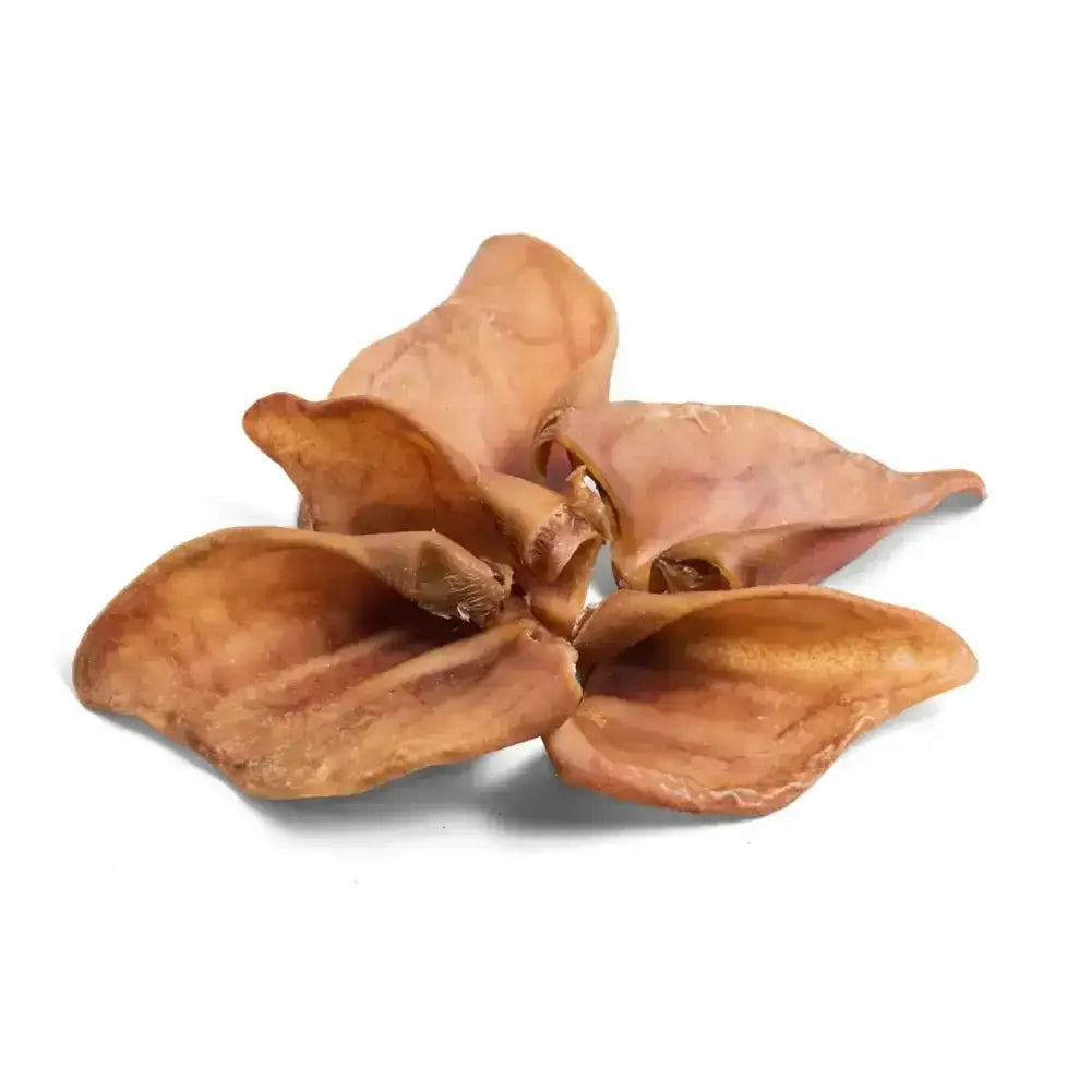 Dry light brown paddock farm pig ears with a slightly textured surface perfect for dog treats