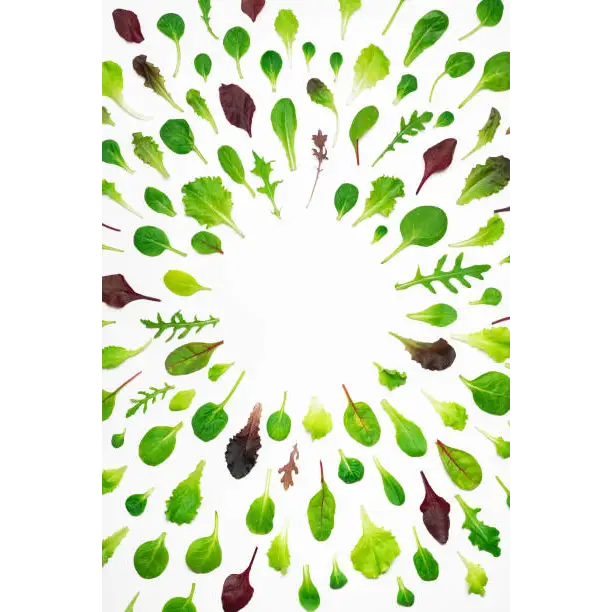Pea Shoots Tendral Salad Box