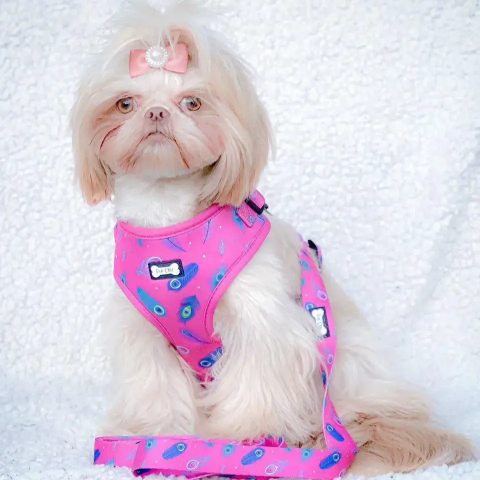 Hot pink dog harness with peacock power adjustable straps and blue feather patterns plus matching leash and brand tag
