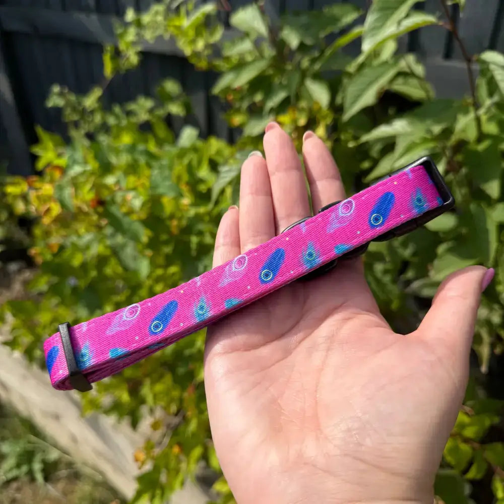 A vibrant pink peacock power dog collar with blue feather pattern, black plastic hardware, perfect for tiny puppies