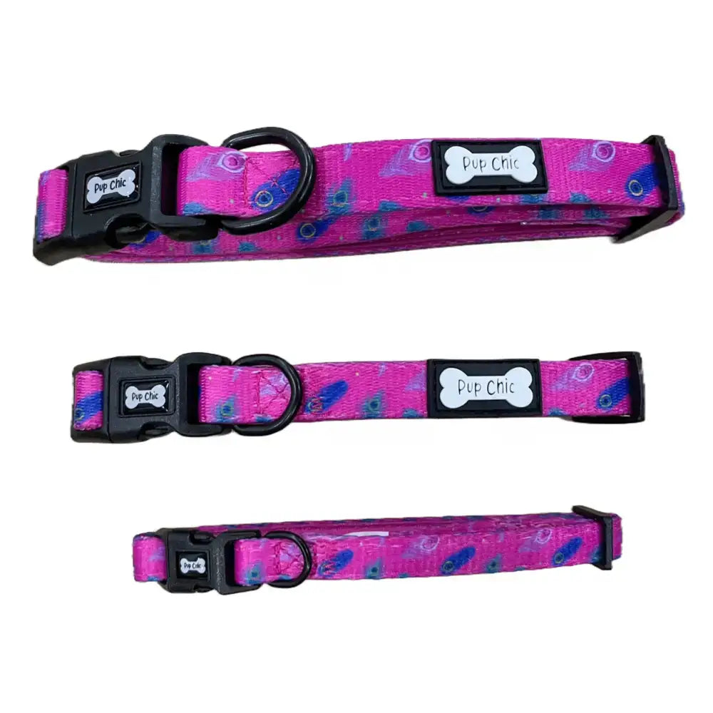 Vibrant pink and purple peacock power dog collar with black buckle and bone tag perfect for tiny puppies