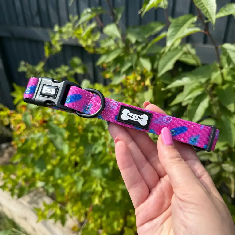 A vibrant pink and blue feather-patterned peacock power dog collar with black buckle and pup chic bone label for tiny puppies